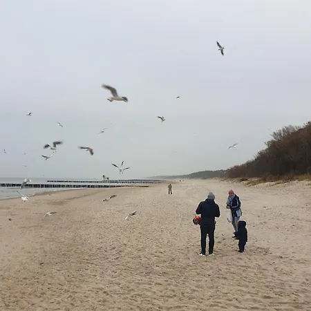 Ostseeresidenz Grosses App Mit Schwimmbad 3*