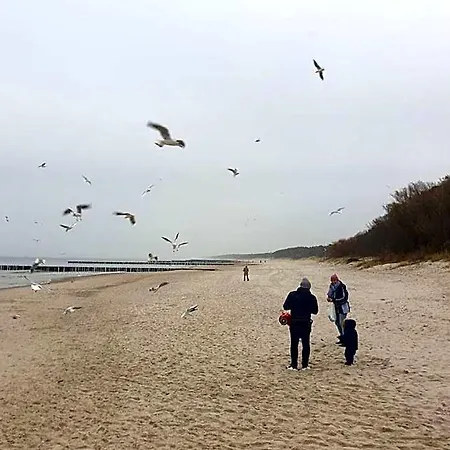 Aparthotel Ostseeresidenz Grosses App Mit Schwimmbad Niechorze